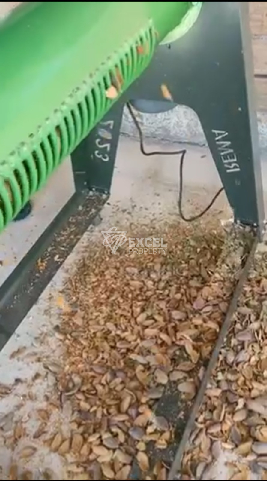 🌰 ГОТОВ РАБОТЕЩ БИЗНЕС – БАДЕМОВА ГРАДИНА В ЗЕМЛИЩЕТО НА С. ГЮЛЬОВЦА